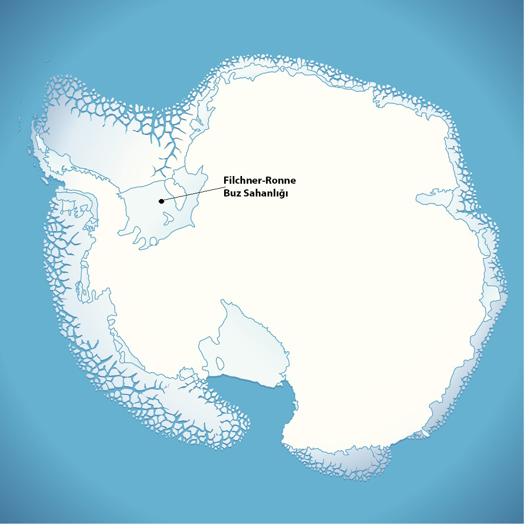 Антарктида материк для детей
