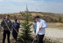 Fırat Üniversitesi Milli Ağaçlandırma Günü etkinliklerine katıldı